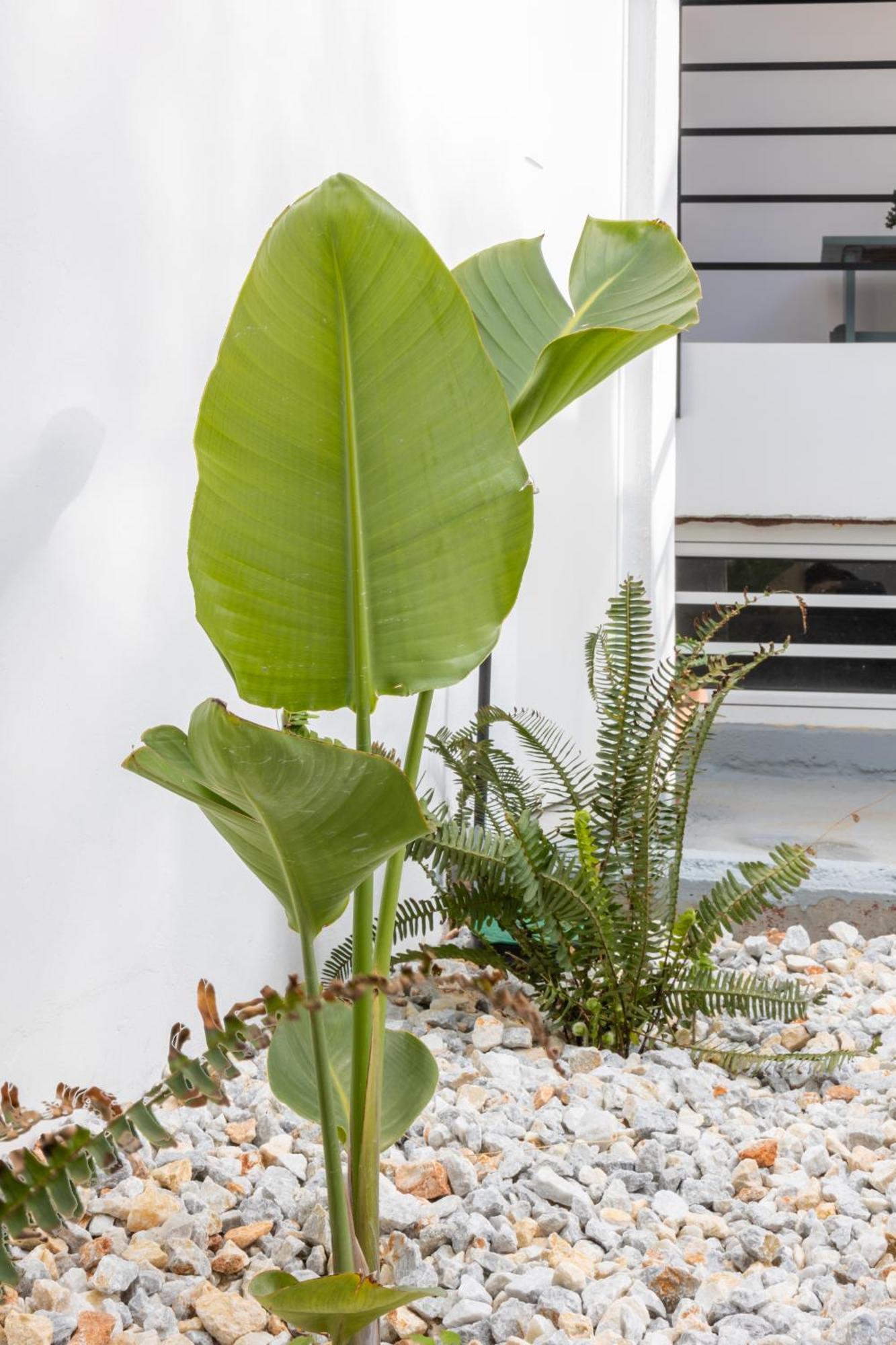 Garden Luxury Apartment Ираклио Екстериор снимка
